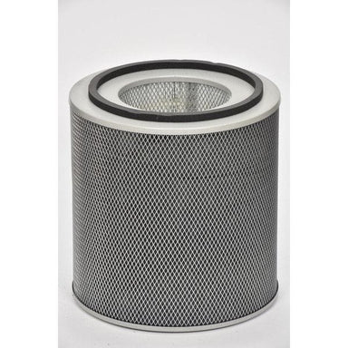 Austin Air HealthMate + Replacement Filter