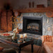 Dimplex 39-In Standard Built-in Electric Fireplace SAMPLE PHOTO