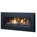 Esprit Linear Zero Clearance Gas Fireplace FRONT VIEW