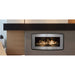 Esprit Linear Zero Clearance Gas Fireplace SAMPLE PHOTO