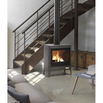 Invicta® Kazan Grand Angle Cast Iron Wood Stove