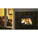 Majestic Twilight Traditional Indoor/Outdoor See-Through Fireplace TWILIGHT-IFT SAMPLE PHOTO