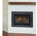 Montigo Illume Insert 30FID Contemporary Gas Fireplace
 SAMPLE PHOTO