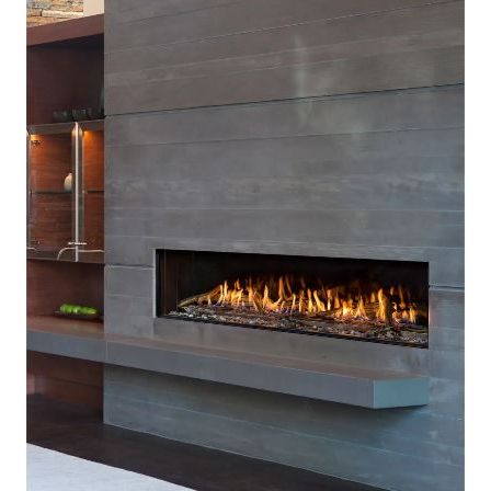 Montigo Exemplar RP620 Luxury Gas Fireplace SAMPLE PHOTO