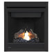 Napoleon Ascent 30 Direct Vent Gas Fireplace - B30 FRONT VIEW