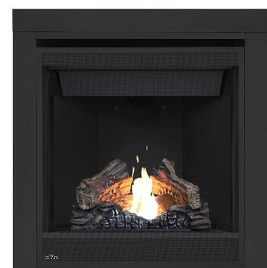 Napoleon Ascent 30 Direct Vent Gas Fireplace - B30 FRONT VIEW