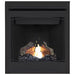 Napoleon Ascent 30 Direct Vent Gas Fireplace - B30 FRONT VIEW