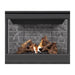 Napoleon Ascent B42 Direct Vent Gas Fireplace - B42 FRONT VIEW