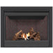 Napoleon Ascent B42 Direct Vent Gas Fireplace - B42 FRONT VIEW