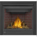 Napoleon Ascent Deep X 42 Traditional Direct-Vent Gas Fireplace - DX42 FRONT VIEW