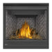 Napoleon Ascent X 36 Direct Vent Gas Fireplace - GX36 FRONT VIEW