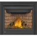 Napoleon Ascent X 36 Direct Vent Gas Fireplace - GX36 FRONT VIEW