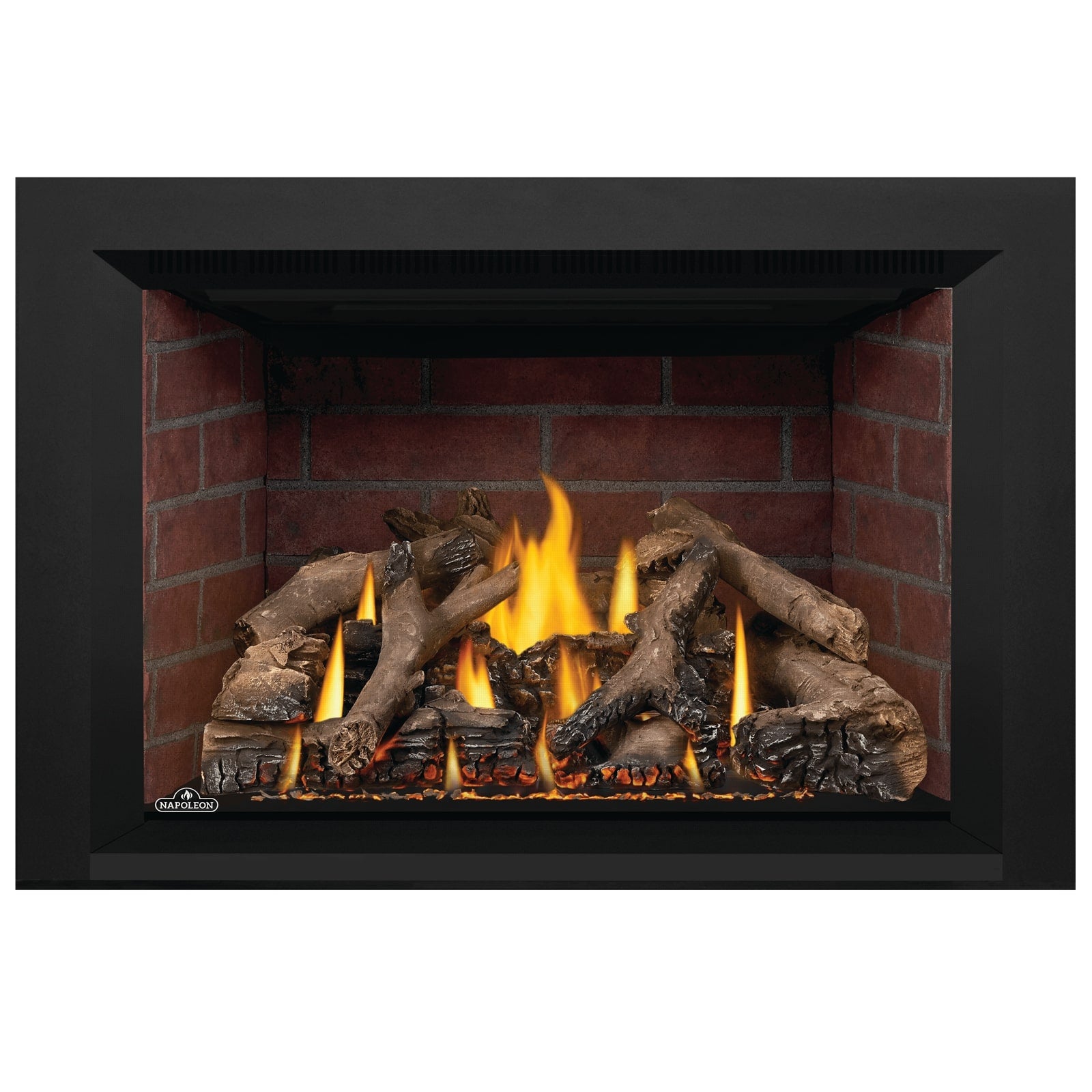 Napoleon Oakville GDIX4 Gas Fireplace Insert - GDIX4N FRONT VIEW