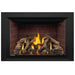 Napoleon Oakville GDIX4 Gas Fireplace Insert - GDIX4N FRONT VIEW