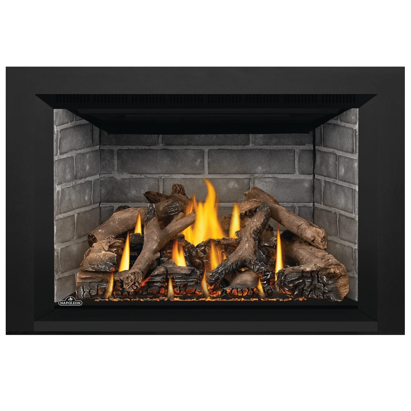 Napoleon Oakville GDIX4 Gas Fireplace Insert - GDIX4N FRONT VIEW