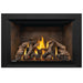 Napoleon Oakville GDIX4 Gas Fireplace Insert - GDIX4N FRONT VIEW