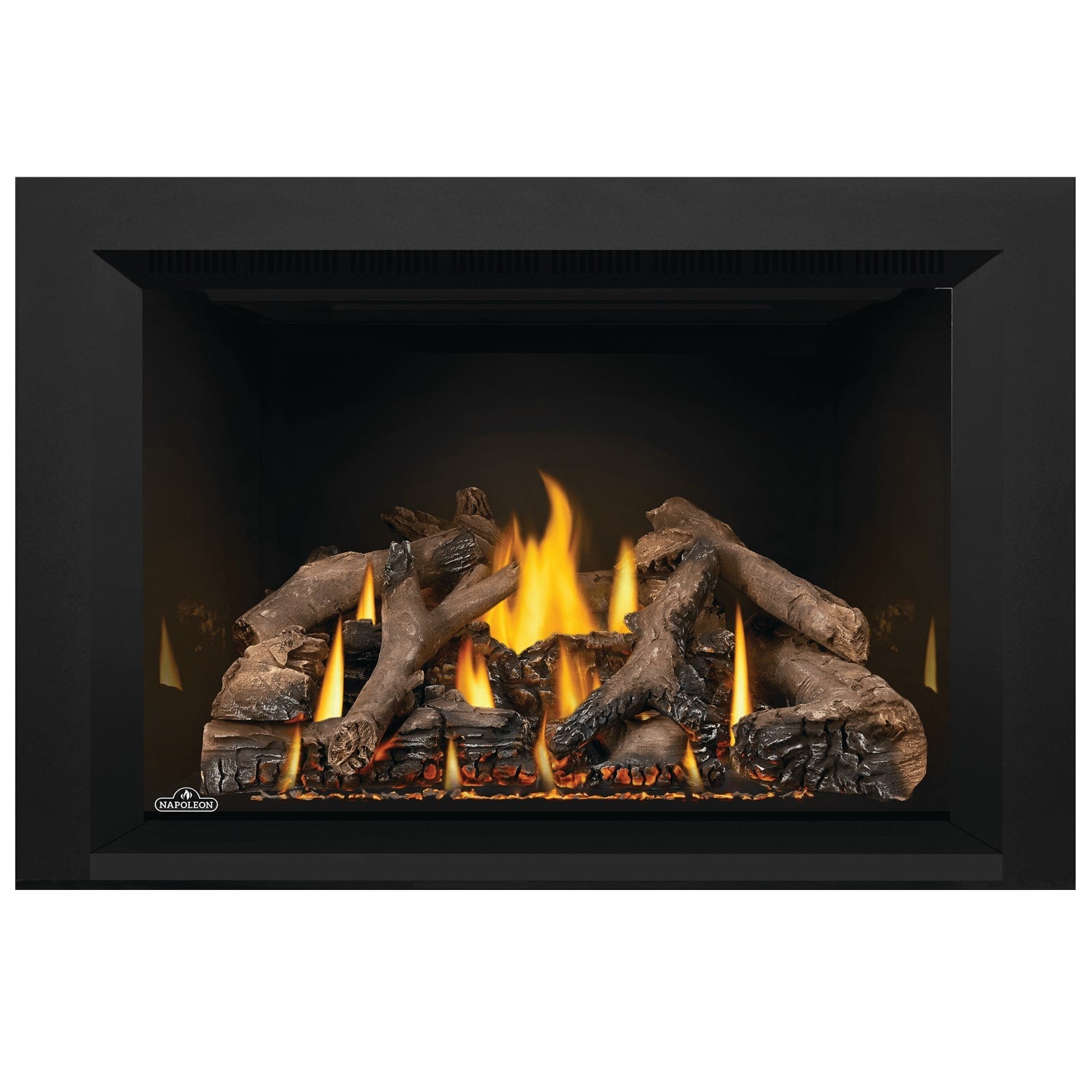 Napoleon Oakville GDIX4 Gas Fireplace Insert - GDIX4N FRONT VIEW