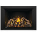 Napoleon Oakville GDIX4 Gas Fireplace Insert - GDIX4N FRONT VIEW