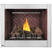 Napoleon Riverside 36 Clean Face Outdoor Gas Fireplace - GSS36CF FRONT VIEW