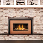 Napoleon Roxbury 30 Direct Vent Gas Fireplace Insert - GDI-30NSB