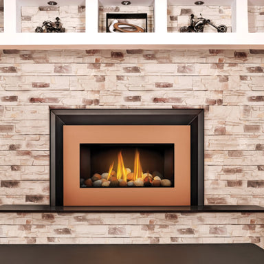 Napoleon Roxbury 30 Direct Vent Gas Fireplace Insert - GDI-30NSB SAMPLE PHOTO