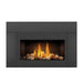 Napoleon Roxbury 30 Direct Vent Gas Fireplace Insert - GDI-30NSB FRONT VIEW