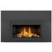 Napoleon Roxbury 30 Direct Vent Gas Fireplace Insert - GDI-30NSB FRONT VIEW