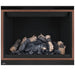 Napoleon High Definition 46 Direct Vent Gas Fireplace - HD46NT-2 FRONT VIEW