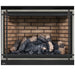 Napoleon High Definition 46 Direct Vent Gas Fireplace - HD46NT-2 FRONT VIEW