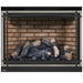 Napoleon High Definition 46 Direct Vent Gas Fireplace - HD46NT-2 FRONT VIEW