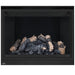 Napoleon High Definition 46 Direct Vent Gas Fireplace - HD46NT-2 FRONT VIEW