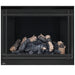 Napoleon High Definition 46 Direct Vent Gas Fireplace - HD46NT-2 FRONT VIEW