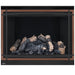 Napoleon High Definition 46 Direct Vent Gas Fireplace - HD46NT-2 FRONT VIEW