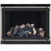 Napoleon High Definition 46 Direct Vent Gas Fireplace - HD46NT-2 FRONT VIEW