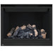 Napoleon High Definition 46 Direct Vent Gas Fireplace - HD46NT-2 FRONT VIEW