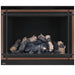 Napoleon High Definition 46 Direct Vent Gas Fireplace - HD46NT-2 FRONT VIEW