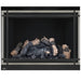Napoleon High Definition 46 Direct Vent Gas Fireplace - HD46NT-2 FRONT VIEW