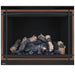 Napoleon High Definition 46 Direct Vent Gas Fireplace - HD46NT-2 FRONT VIEW