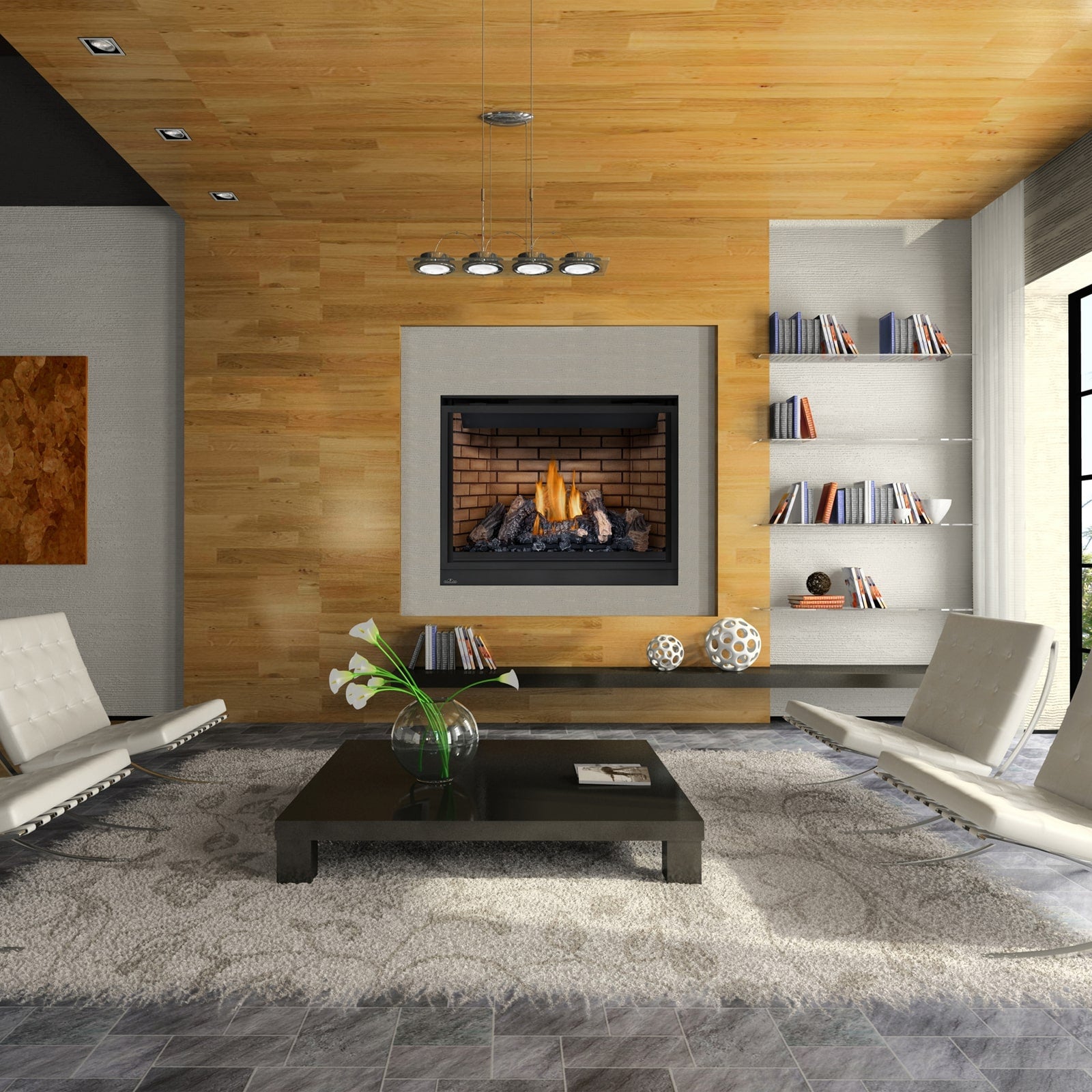 Napoleon High Definition 46 Direct Vent Gas Fireplace - HD46NT-2 SAMPLE PHOTO