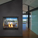 Napoleon High Definition 81 See Thru Direct Vent Gas Fireplace - HD81NT-1 SAMPLE PHOTO