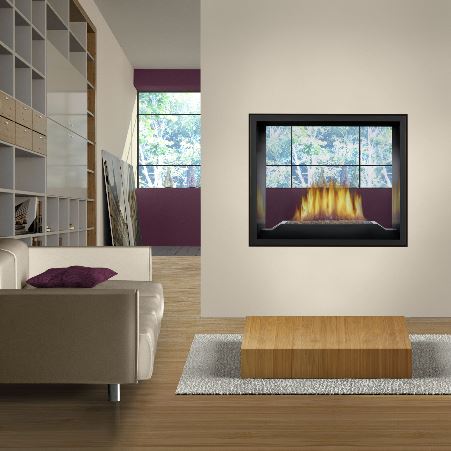 Napoleon High Definition 81 See Thru Direct Vent Gas Fireplace - HD81NT-1 SAMPLE PHOTO