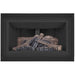 Napoleon Inspiration ZC Direct Vent Gas Fireplace Insert - GDIZC-NSB FRONT VIEW