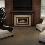Napoleon Inspiration ZC Direct Vent Gas Fireplace Insert - GDIZC-NSB