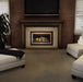 Napoleon Inspiration ZC Direct Vent Gas Fireplace Insert - GDIZC-NSB SAMPLE PHOTO