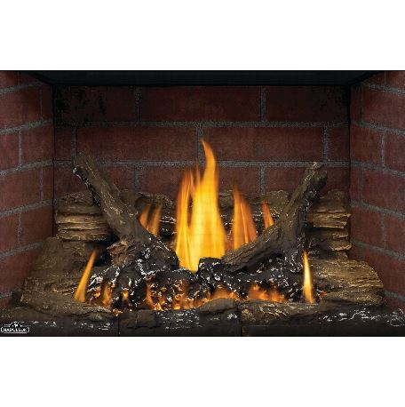 Napoleon Oakville GDI3 Gas Fireplace Insert - GDI3N FRONT VIEW