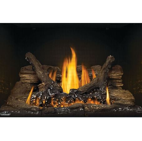 Napoleon Oakville GDI3 Gas Fireplace Insert - GDI3N FRONT VIEW