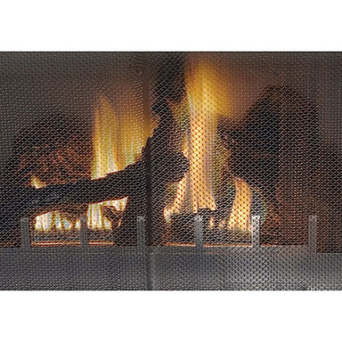 Napoleon Riverside 36 Outdoor Gas Fireplace - GSS36N