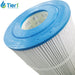 Tier1 Waterway Clearwater 817-0075N Comparable Pool and Spa Filter Replacement TOP VIEW