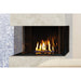 U30 Urbana Bay Gas Fireplace FRONT VIEW