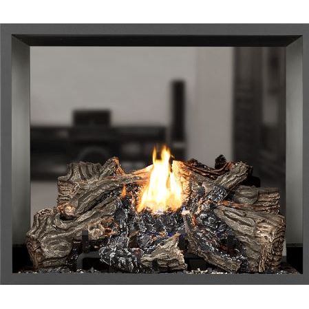 Napoleon High Definition 81 See Thru Direct Vent Gas Fireplace - HD81NT-1